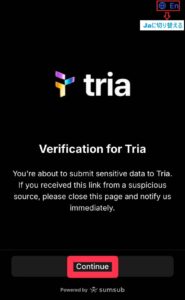 Tria KYC sumsub
